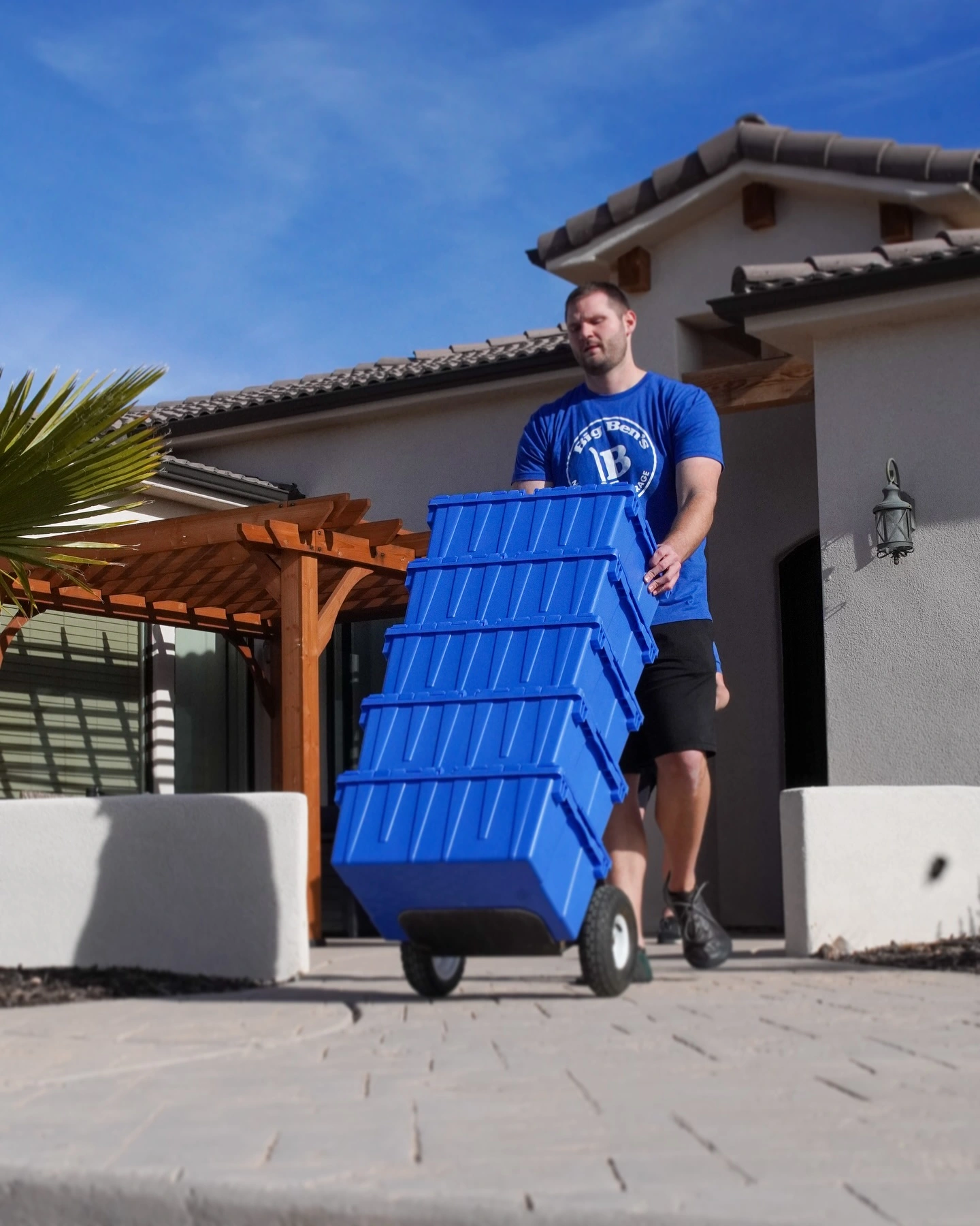 professional movers at work